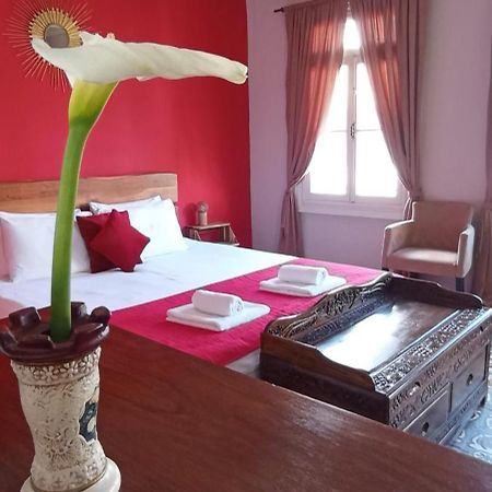 Kosta N'Tina Guest House Lefkáda Exteriér fotografie